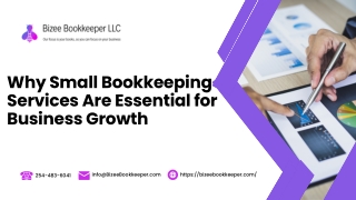 Why Small Bookkeeping Services Are Essential for Business Growth