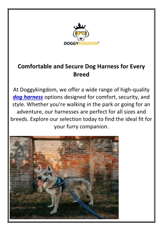 Comfortable and Secure Dog Harness for Every Breed