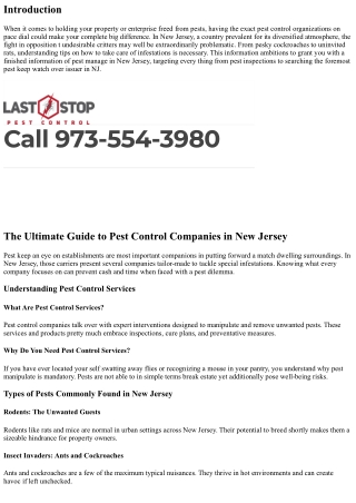 The Ultimate Guide to Pest Control Companies in New Jersey