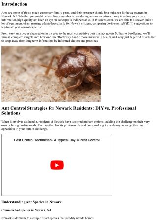 Ant Control Strategies for Newark Residents: DIY vs. Professional Solutions