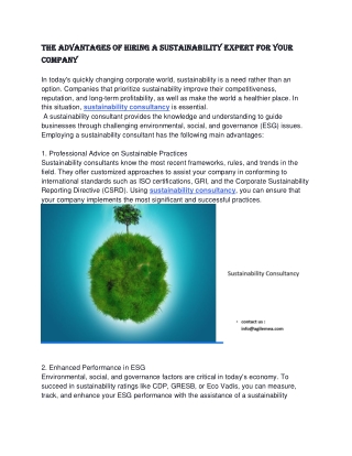 The Advantages of Hiring a Sustainability Expert for Your Company