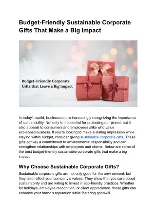 Budget-Friendly Sustainable Corporate Gifts That Make a Big Impact