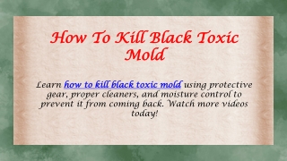 How To Kill Black Toxic Mold