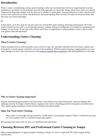 “Choosing Between DIY and Professional Gutter Cleaning in Tampa.”