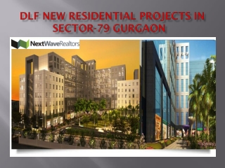 Dlf Projects Sector 79 Gurgaon
