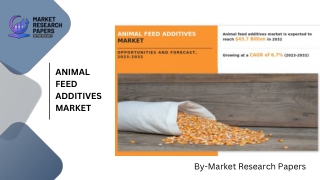 Animal Feed Additives Market PPT