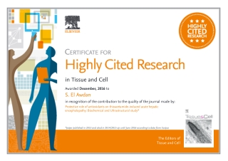 High index certificate