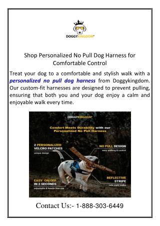 Shop Personalized No Pull Dog Harness for Comfortable Control