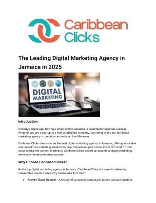 The Leading Digital Marketing Agency in Jamaica in 2025