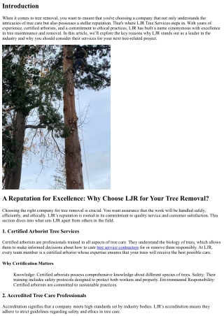 A Reputation for Excellence: Why Choose LJR for Your Tree Removal