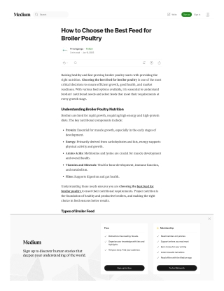 how-to-choose-the-best-feed-for-broiler-poultry