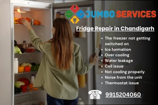 Fridge Repair in Chandigarh