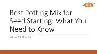 Best Potting Mix for Seed Starting