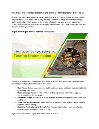 The Hidden Threat_ How to Identify and Eliminate Termites Before It’s Too Late