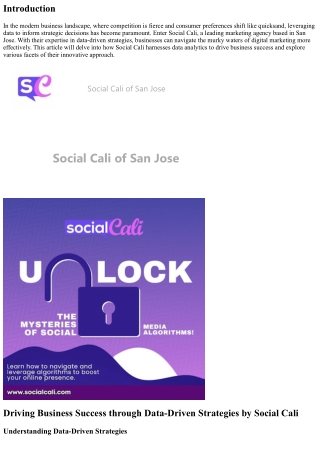 Driving Business Success through Data-Driven Strategies by Social Cali.