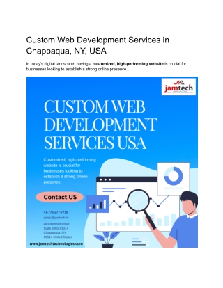 Custom Web Development Services in Chappaqua, NY, USA