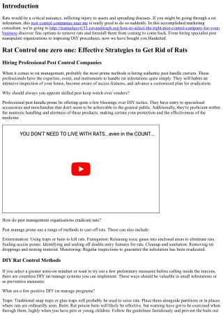 Rat Control a hundred and one: Effective Strategies to Get Rid of Rats