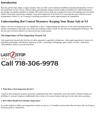 Understanding Rat Control Measures: Keeping Your Home Safe in NJ