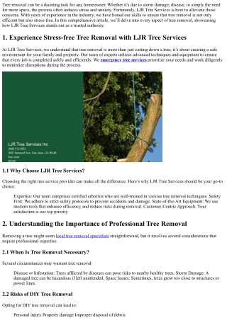 Experience Stress-free Tree Removal with LJR Tree Services