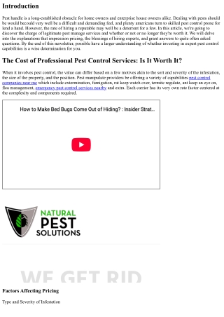 The Cost of Professional Pest Control Services: Is It Worth It?