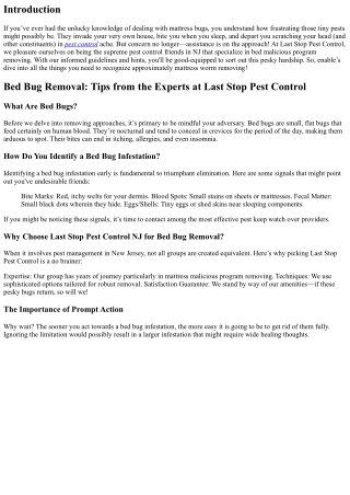 Bed Bug Removal: Tips from the Experts at Last Stop Pest Control