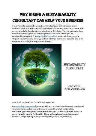 Why Hiring a Sustainability Consultant Can Help Your Business
