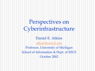 Perspectives on Cyberinfrastructure