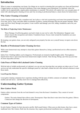 Gain Peace of Mind with Lakeland Gutter Cleaning