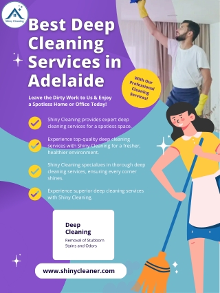 Shiny cleaning Infographics