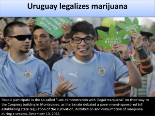 Uruguay legalizes marijuana
