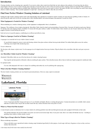 Find Your Perfect Window Cleaning Solution at Lakeland
