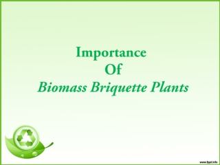 Importance Of Biomass Briquetting Plant