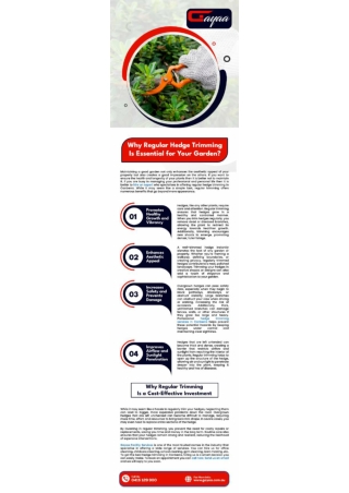 Why Regular Hedge Trimming Is Essential for Your Garden?