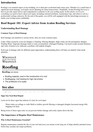 Roof Repair 101: Expert Advice from Avalon Roofing Services