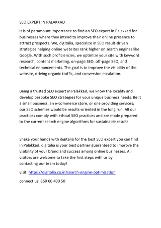 SEO EXPERT IN PALAKKA1 (1)