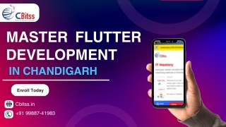 Master Flutter with the Best Flutter Training in Chandigarh | CBitss