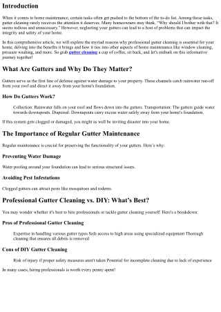Professional Gutter Cleaning: Why It's Necessary for Your Home