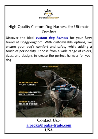 High-Quality Custom Dog Harness for Ultimate Comfort