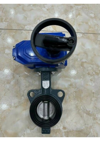 Van bướm gang điều khiển điện - vanbuomhanoi