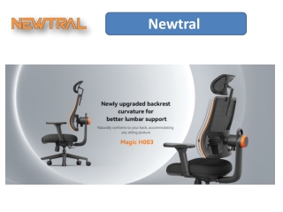 Your Solution to Comfort and Productivity: Newtral Ergonomic Desk Chair for Back