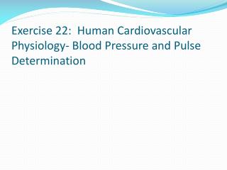 Exercise 22: Human Cardiovascular Physiology- Blood Pressure and Pulse Determination