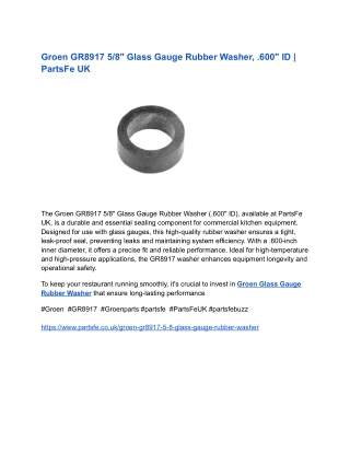 Groen GR8917 5_8_ Glass Gauge Rubber Washer, .600_ ID _ PartsFe UK