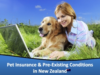 Pet Insurance