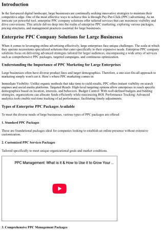 Enterprise PPC Company Solutions for Large Businesses