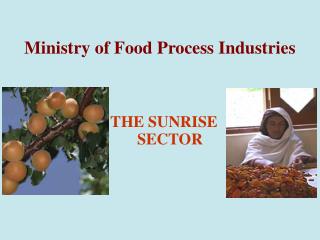 Ministry of Food Process Industries