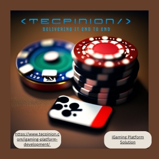 iGaming Platform Solution