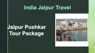 Jaipur Pushkar Tour Package (1)