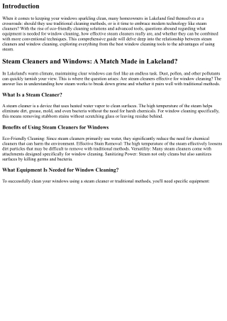 Steam Cleaners and Windows: A Match Made in Lakeland?