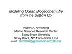 Modeling Ocean Biogeochemistry from the Bottom Up Robert A. Armstrong Marine Sciences Research Center Stony Brook Uni