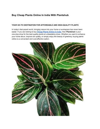 Buy Plants Online Cheap – Affordable & Quality Plants